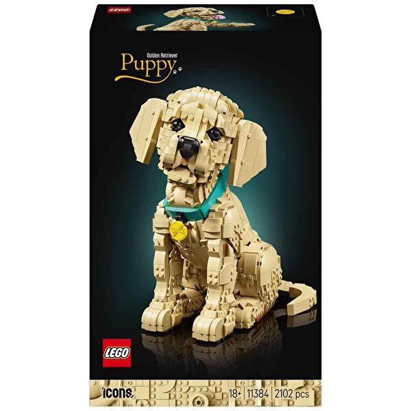 LEGO Icons Yavru Golden Retriever 11384