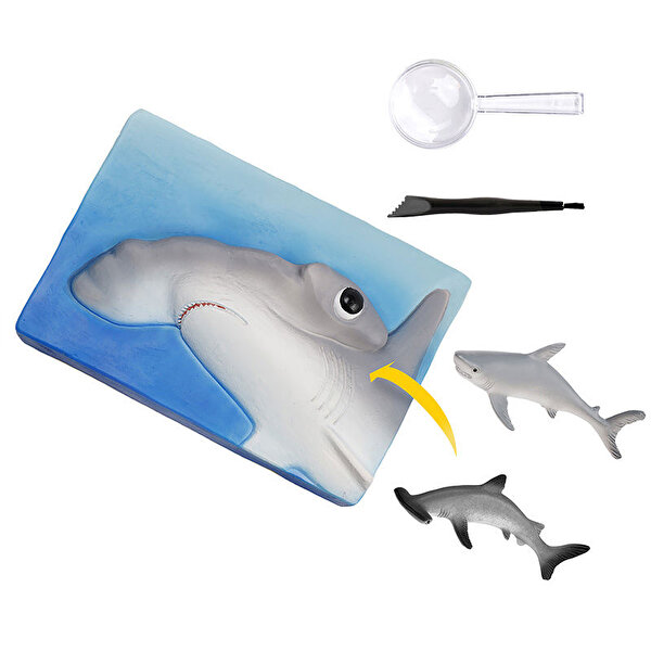 National Geographic Köpek Balığı Bulma Kiti Trhamshdig