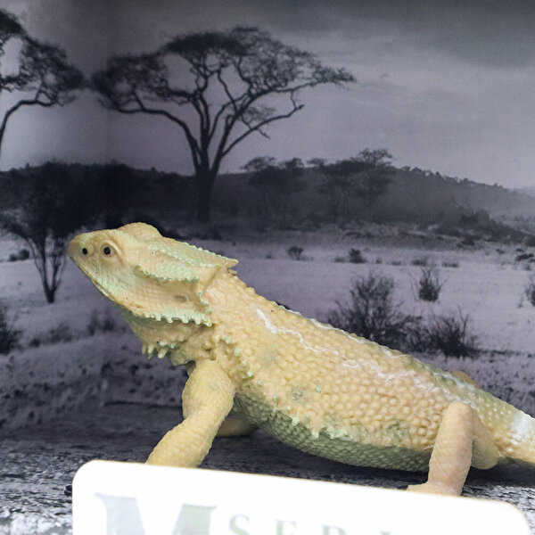 Animal World Sürüngen Serisi