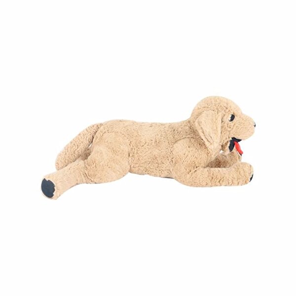 Golden Köpek 50 Cm