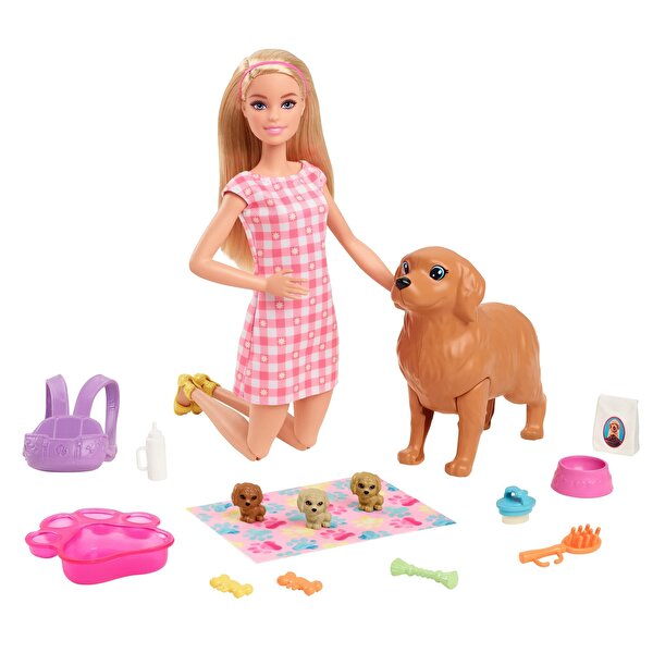 Barbie ve Yeni Doğan Köpekler Oyun Seti HCK75