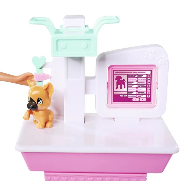 Steffi Love Evcil Hayvan Doktoru Seti