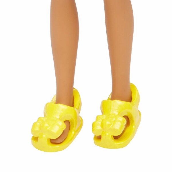 Polly Pocket ve Arkadaşları Shani HDW46