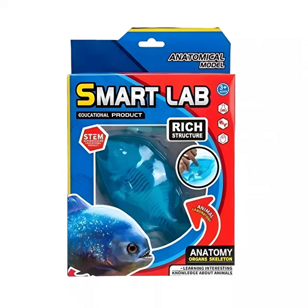 Köpekbalığı Laboratuvar Seti