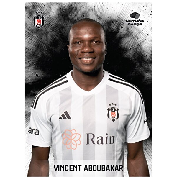 Beşiktaş 2023/24 Sezon Dev Poster ve Çıkartma Seti