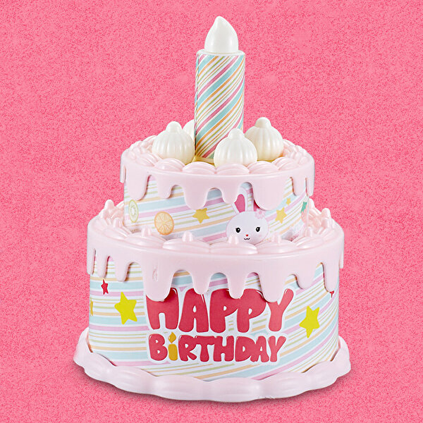 Bay Dreamy Mini Tavşan Doğum Günü Partisi