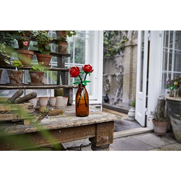 LEGO Botanics Güller 40460