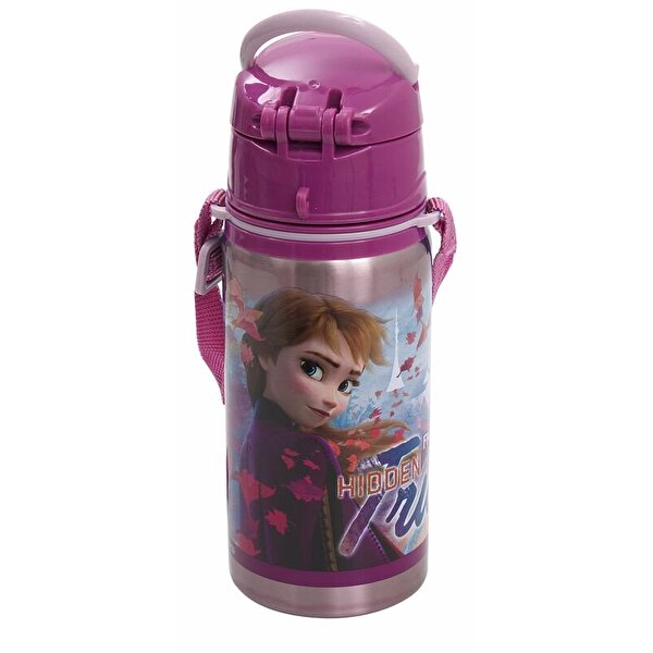 Frozen Hidden Truth Salto Çelik Matara 500ml