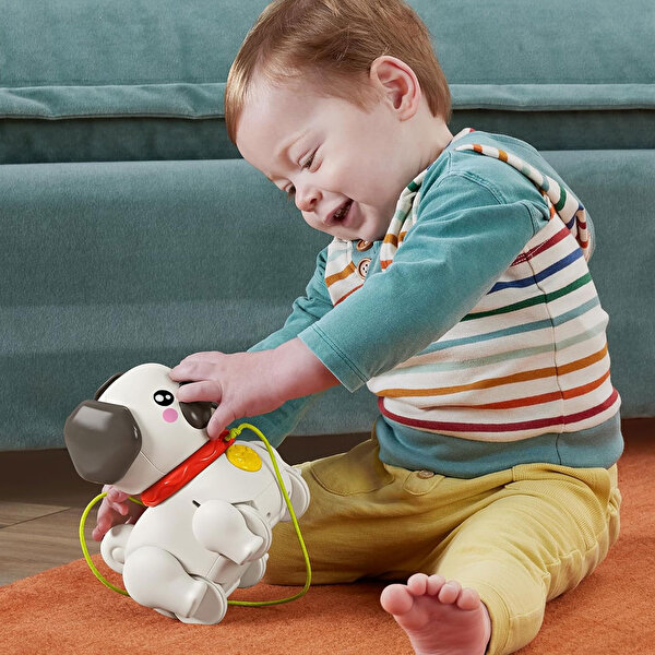 Fisher Price Sesli Minik Dostumla Yürüyüş HTW94