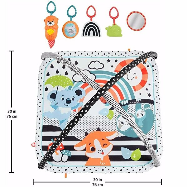 Fisher Price Neşeli Hayvanlar 3'ü 1 Arada Jimnastik Merkezi HBP41