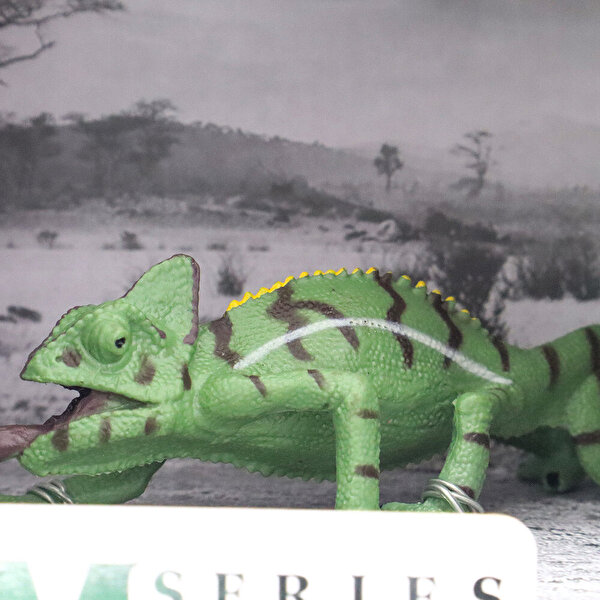 Animal World Sürüngen Serisi