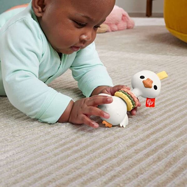 Fisher-Price Sensimals Dişlik HRB22