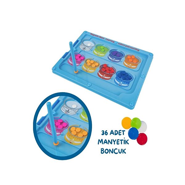 Steam Renkler ve Sayılar Eğitim Tahtası