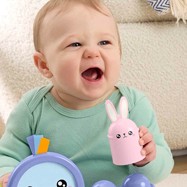 Fisher Price Çıngıraklı Minik Kuş JLG00