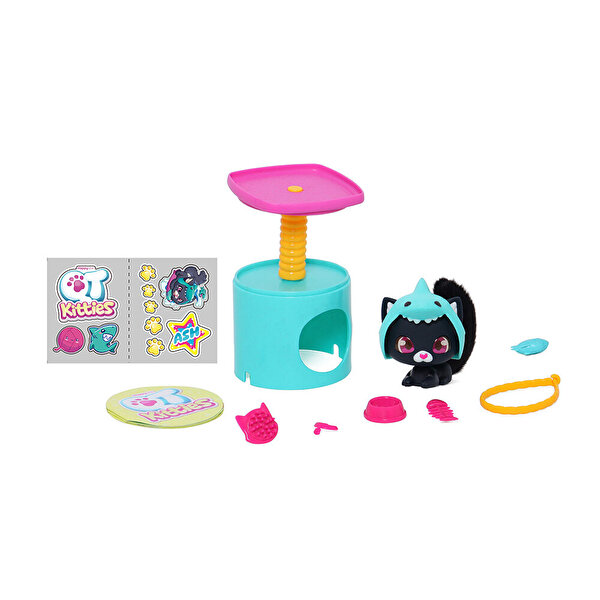 QT Kitties Ash Yavru Kedi