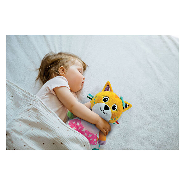 Baby Clementoni Yumuşacık Kedicik