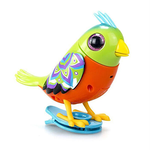 Digibirds Tekli Paket Seri 2 Turuncu Yeşil