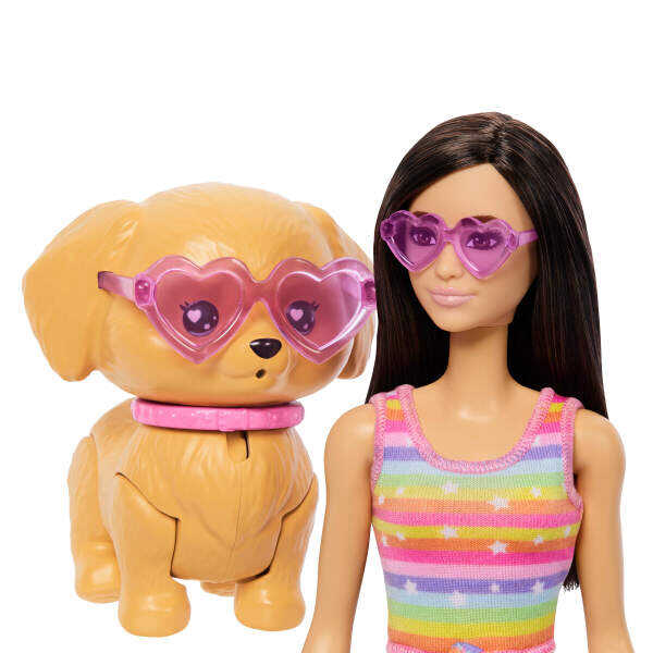 Barbie Paten Eğlencesi ve Sevimli Köpek Oyun Seti JMJ45