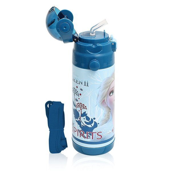 Frozen Spirits Of Nature Salto Çelik Matara 500 Ml