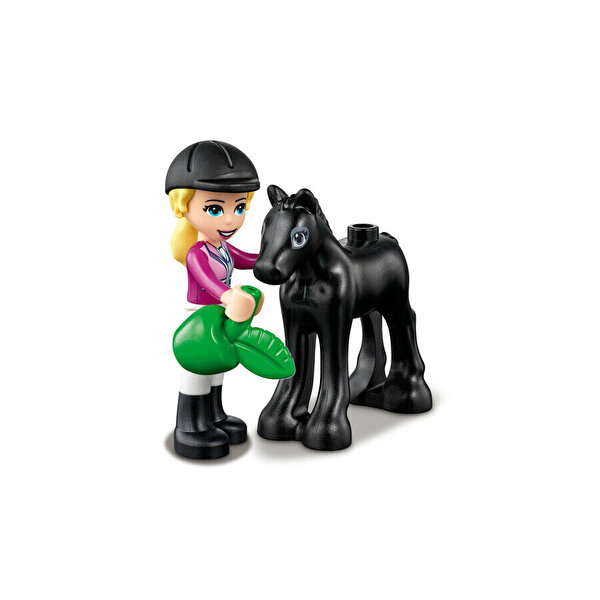 LEGO Friends At Eğitmeni ve At Eğitimi 41441