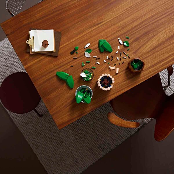 LEGO Botanicals Barış Çiçeği 11504