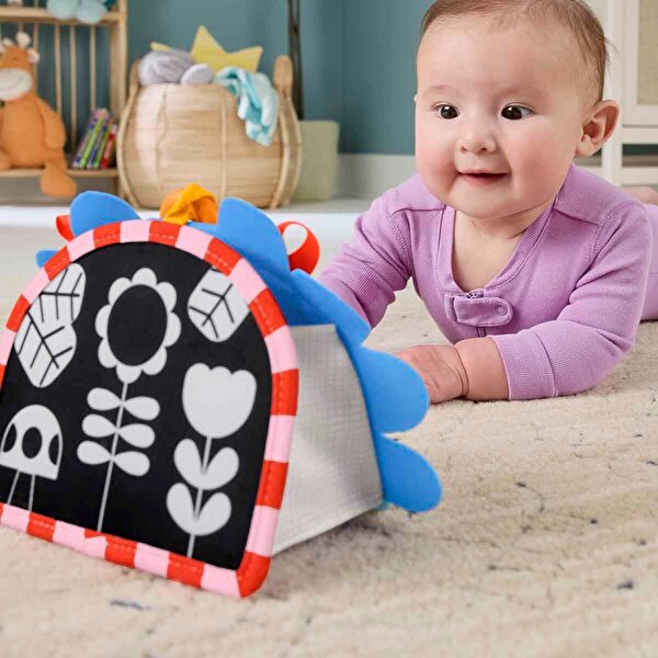Fisher Price Eğlenceli Kirpi Ayna JHB45