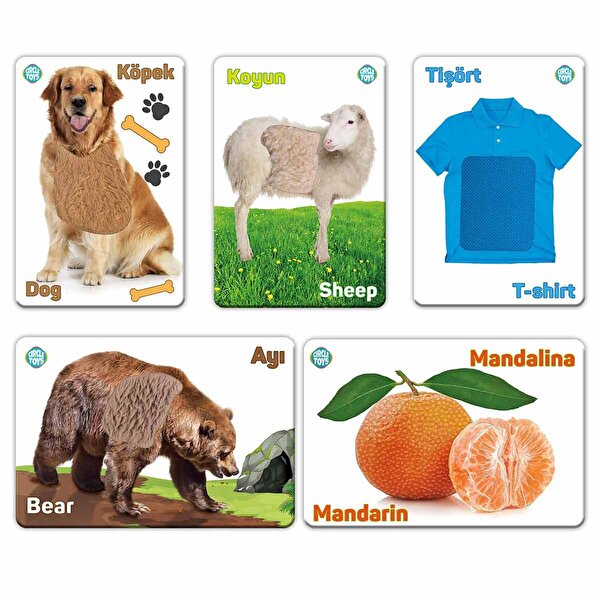 Dokun Hisset Tanı Eğitim Kartları