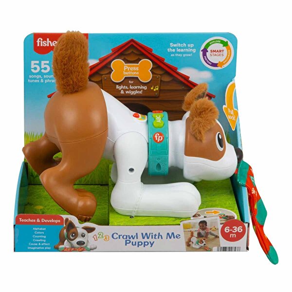 Fisher Price Emeklemeyi ve Saymayı Öğreten Köpekçik HHH13