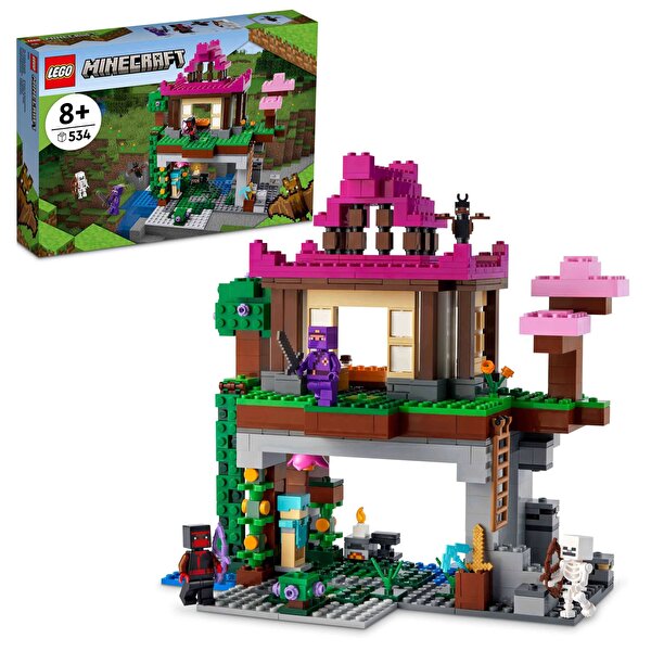 LEGO® Minecraft Eğitim Alanı 21183