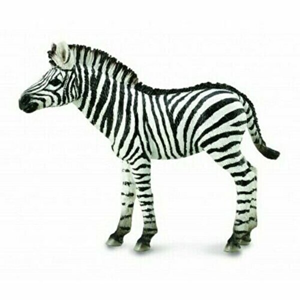 Collecta Yavru Zebra