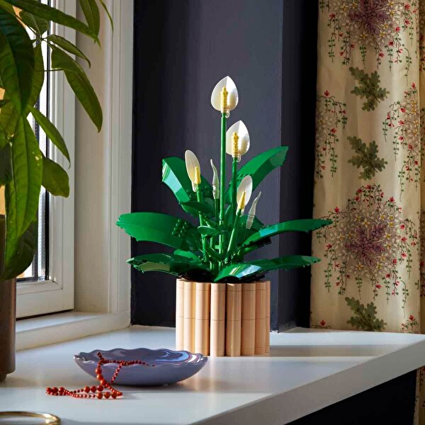 LEGO Botanicals Barış Çiçeği 11504