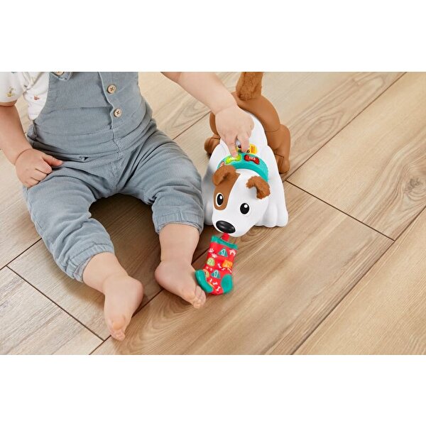 Fisher Price Emeklemeyi ve Saymayı Öğreten Köpekçik HHH13