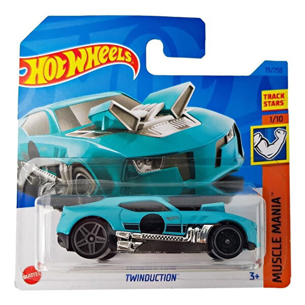 Hot Wheels Tekli Arabalar Twinduction HKH22