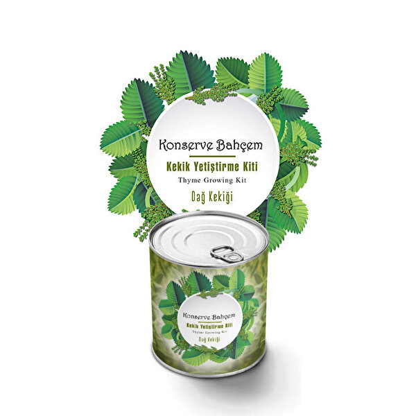 Konserve Bahçem Kekik Dağ Kekiği Yetiştirme Kiti