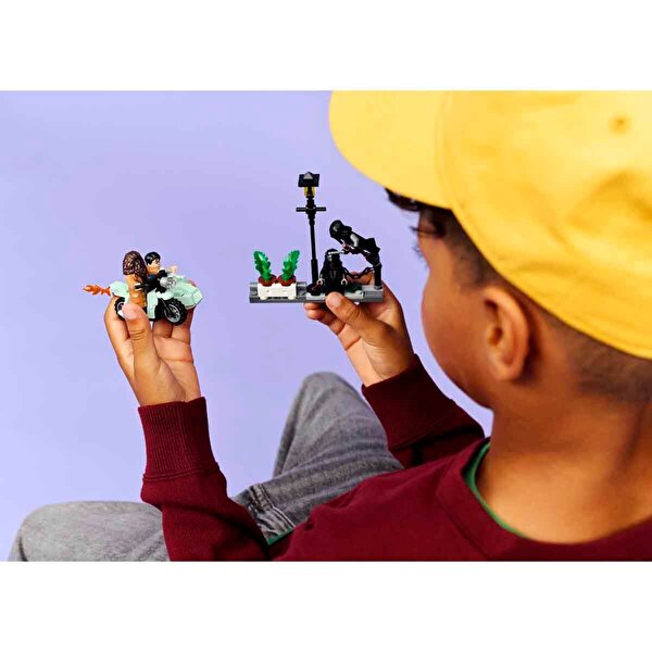 LEGO Harry Potter Hagrid ve Harry'nin Privet Drive Kaçış 76459