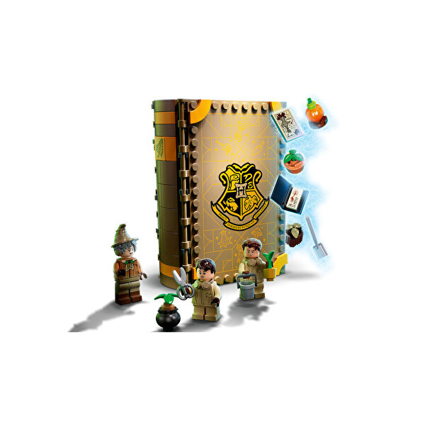 LEGO Harry Potter Hogwarts Anısı Bitkibilim Dersi 76384