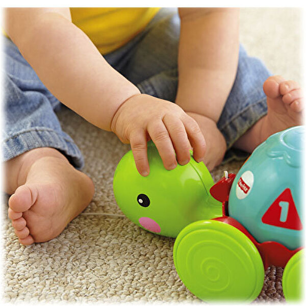 Fisher Price Çek Çek Kaplumbağa Y8652