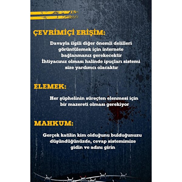 Çözülmemiş Davalar Akıl Hastanesi Dedektif Oyunu