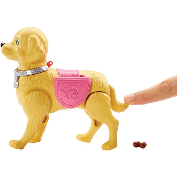 Barbie ve Tuvalet Eğitimindeki Köpeği DWJ68