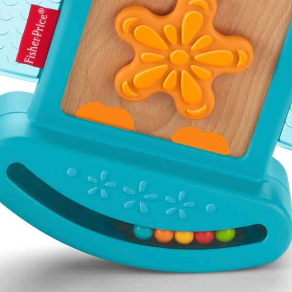 Fisher Price Eğlenceli Kuş GJW26