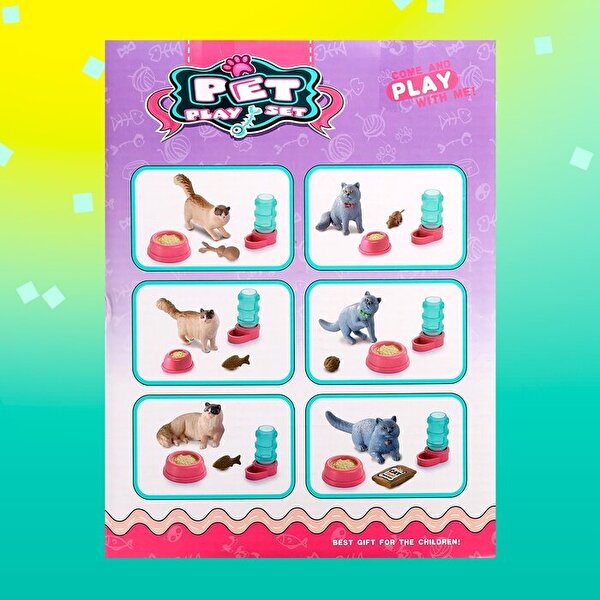 Evcil Hayvan Yavru Kedi Sürpriz Paket
