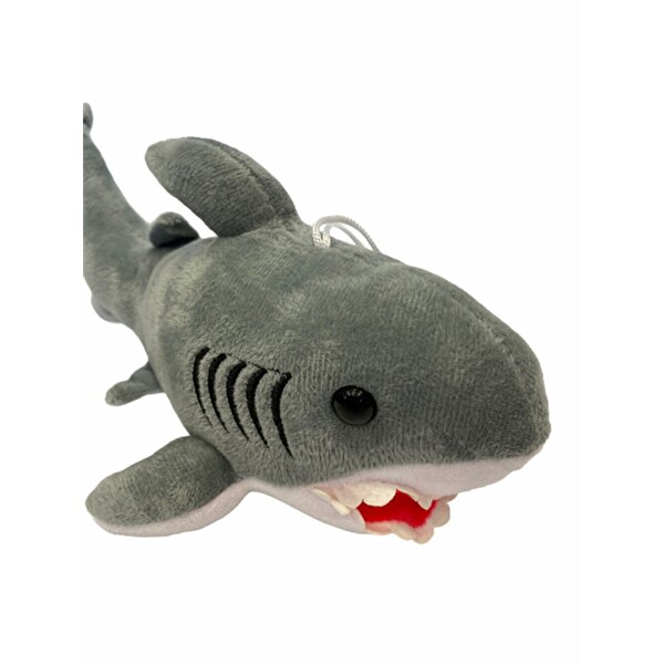 Peluş Köpek Balığı