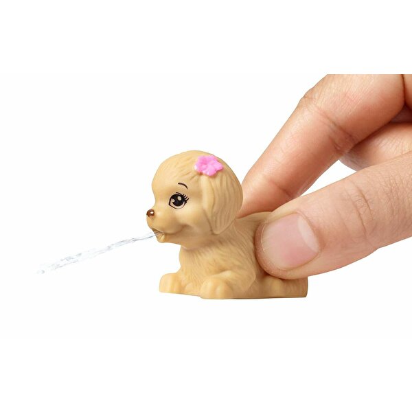 Barbie'nin Ev Dışı Dekorasyon Aksesuarları Yüzme Simidi Seti FXG38