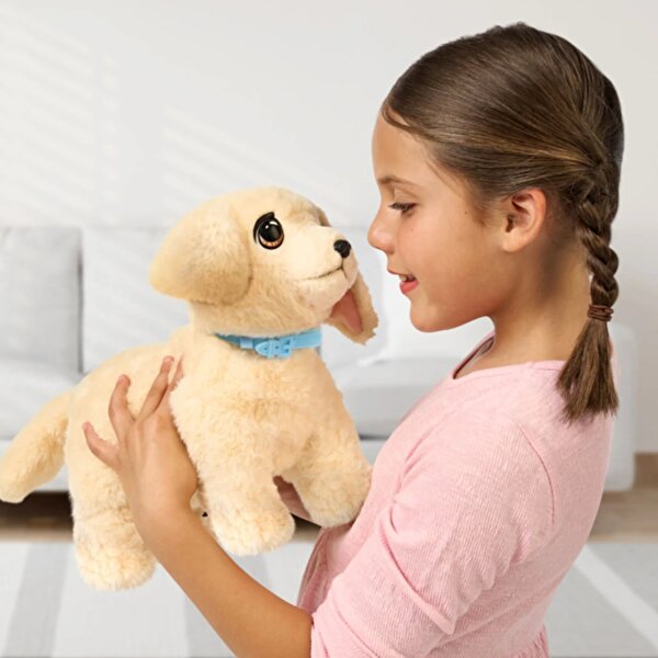 LLP Yavru Köpek İyileşiyor 26679