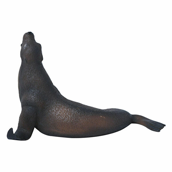 Collecta Deniz Aslanı