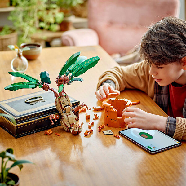 LEGO Harry Potter Adamotu 76433