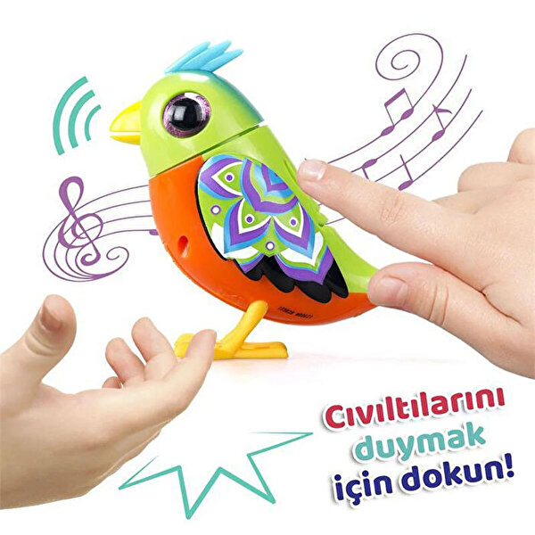 Digibirds Tekli Paket Seri 2 Turuncu Yeşil