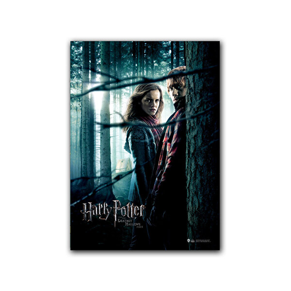 Wizarding World Harry Potter Poster - Deathly Hallows Part 1. Ron ve Hermione