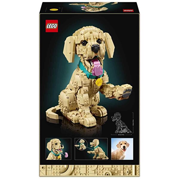 LEGO Icons Yavru Golden Retriever 11384