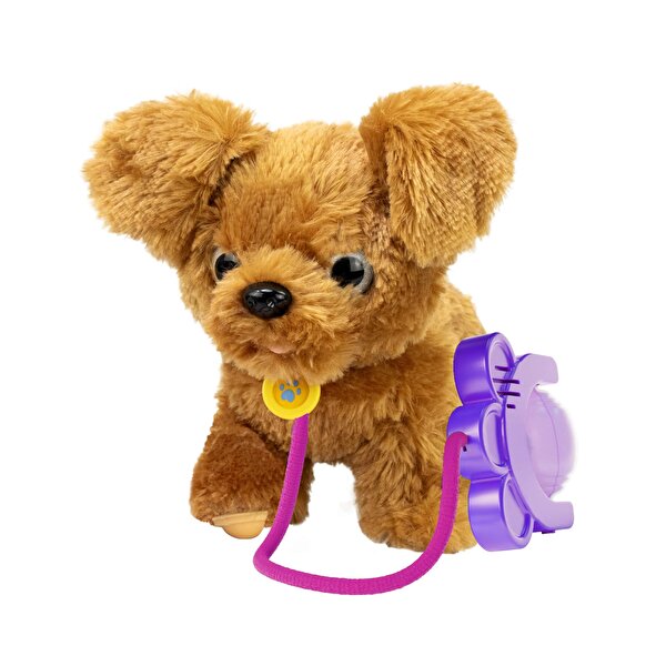 Sevimli Koşu Arkadaşım Golden